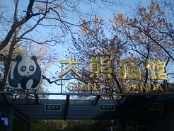 20101127 002北京動物園.jpg